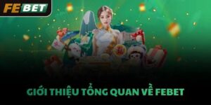 Tìm hiểu tổng quan Febet qua đánh giá giao diện và danh mục sản phẩm